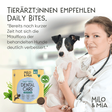 Daily Bites Softsnack - Dental Care