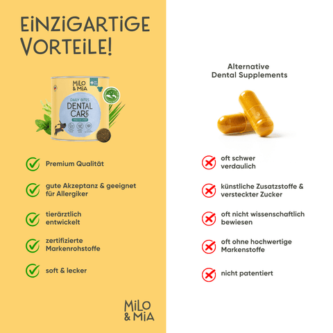 Daily Bites Softsnack - Dental Care