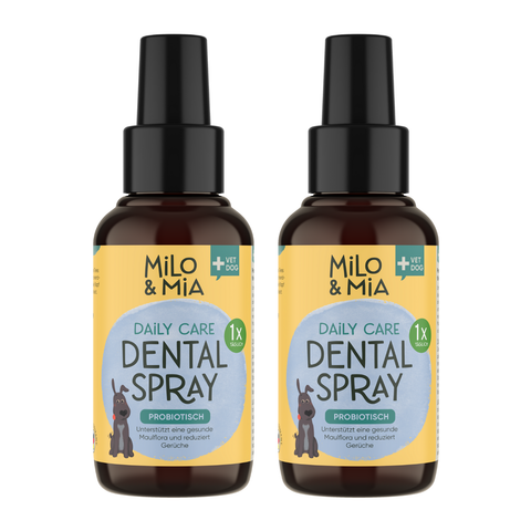 Daily Care - Probiotisches Dental Spray