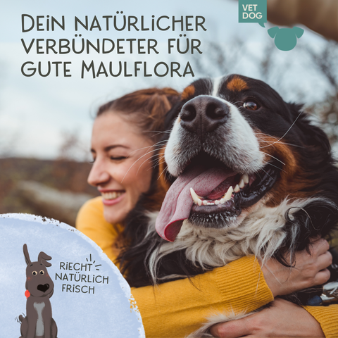 Daily Care - Probiotisches Dental Spray