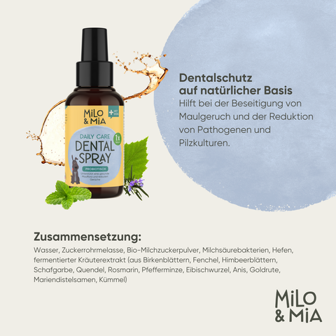 Daily Care - Probiotisches Dental Spray