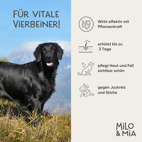 Daily Care - Probiotisches Haut & Fell Spray