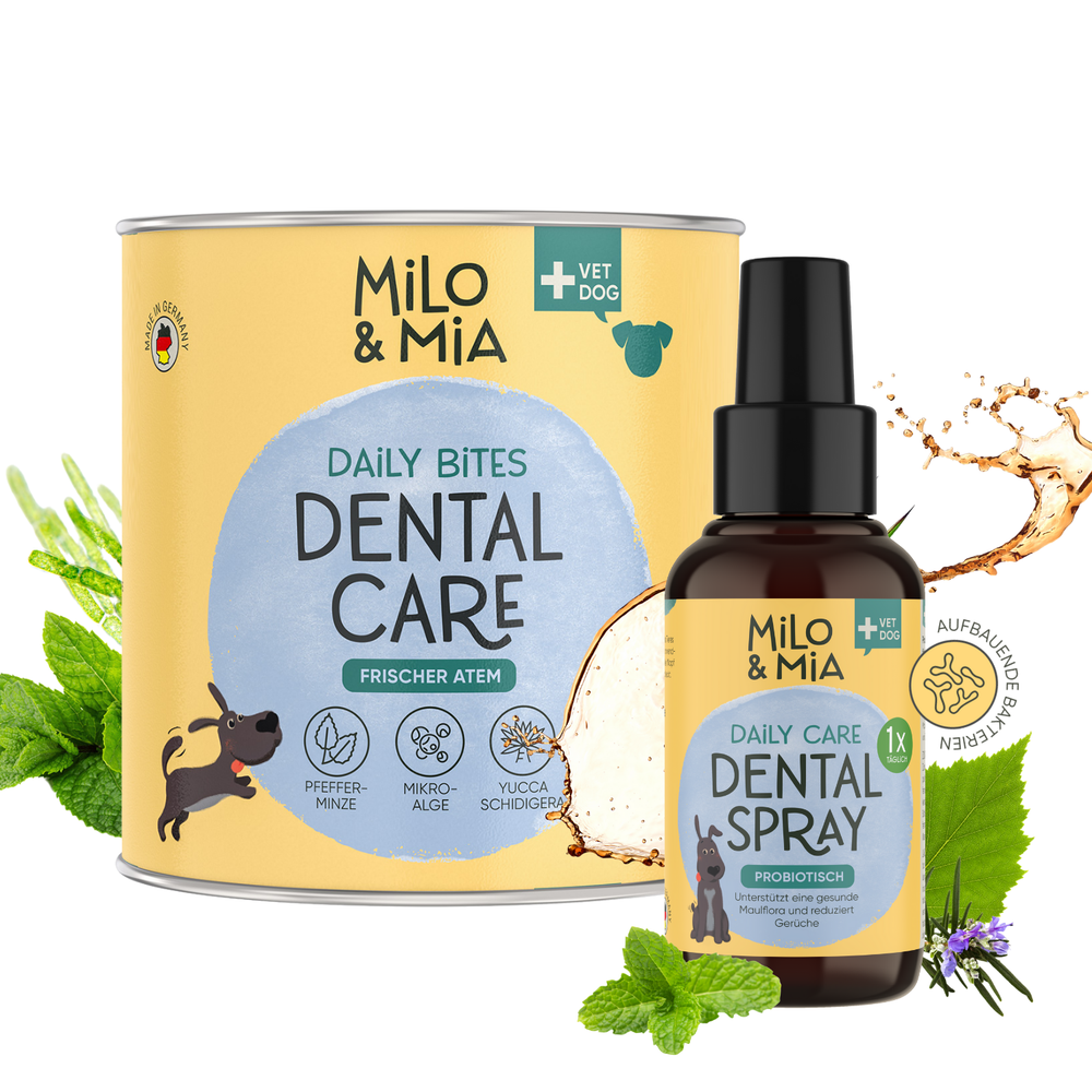 Dental Bundle für Hunde – Zahnpflege-Snacks & Spray