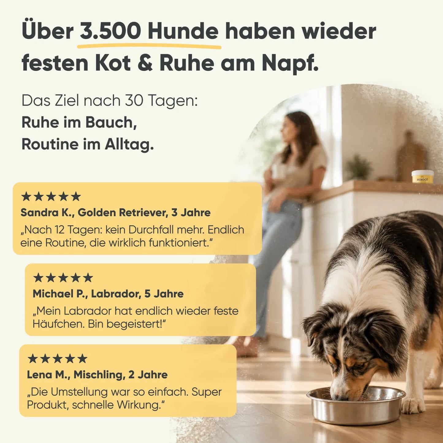 Futterumstellung Reboot