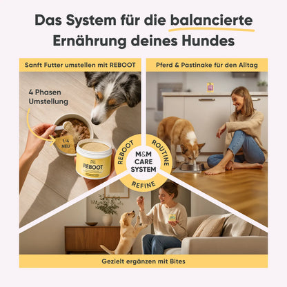 Futterumstellung Reboot