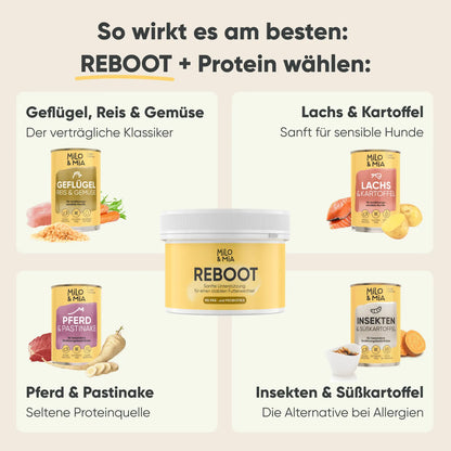 Futterumstellung Reboot