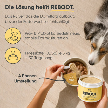 Futterumstellung Reboot