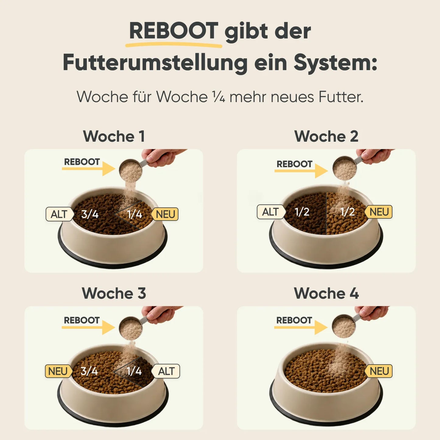 Futterumstellung Reboot