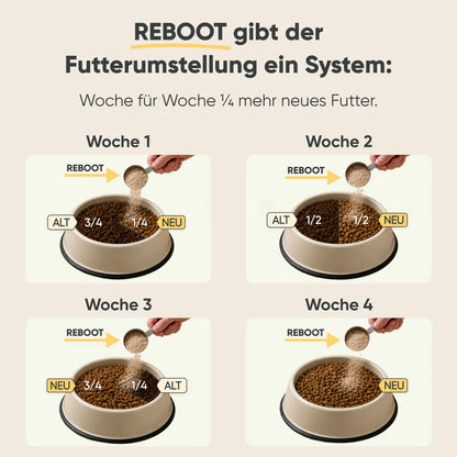 Futterumstellung Reboot