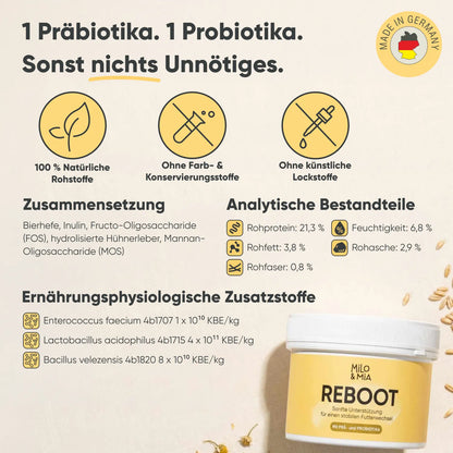 Futterumstellung Reboot