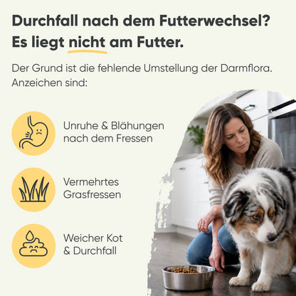 Futterumstellung Reboot