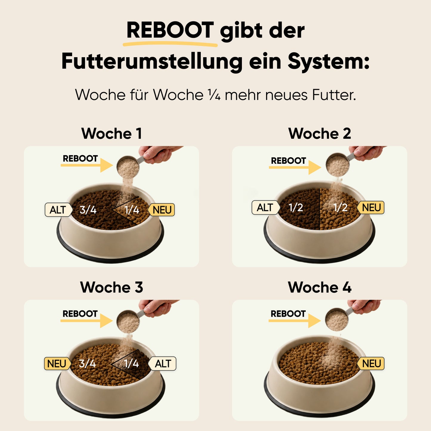 Futterumstellung Reboot
