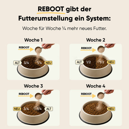 Futterumstellung Reboot