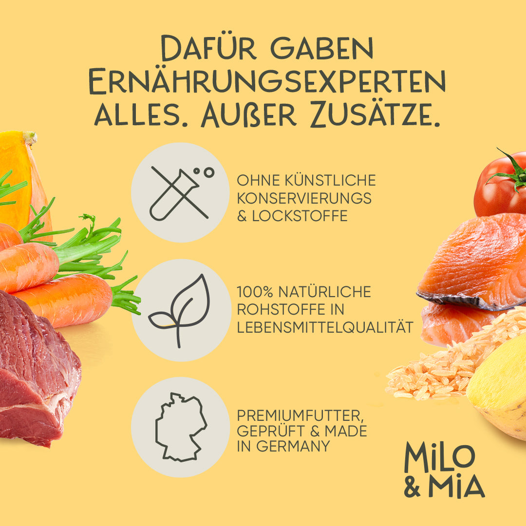Probierpaket 6 Sorten